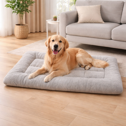 Lit rectangulaire pour chien