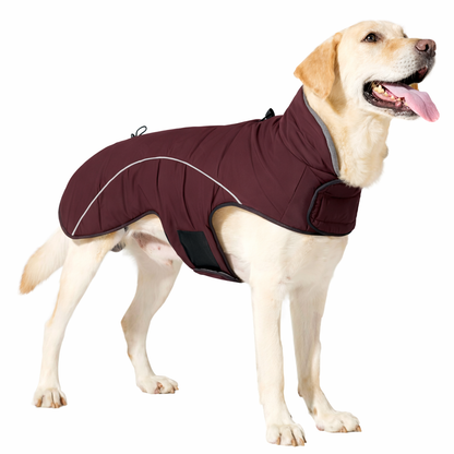 Manteau pour chien imperméable et coupe-vent
