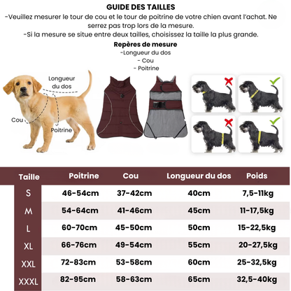 Manteau pour chien imperméable et coupe-vent